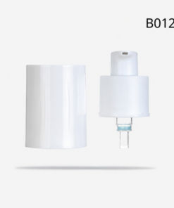 B012