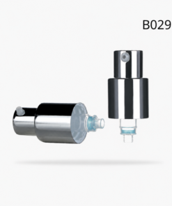 B029
